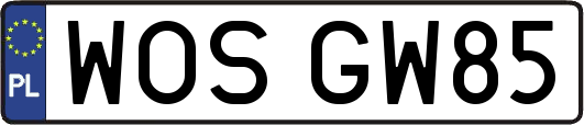 WOSGW85