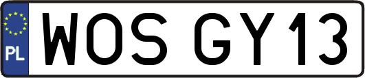 WOSGY13