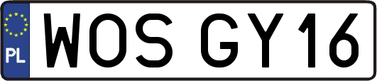 WOSGY16