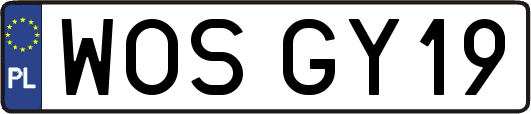WOSGY19