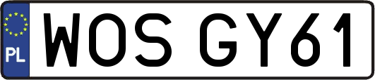 WOSGY61