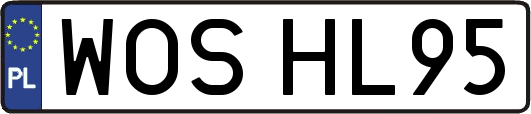 WOSHL95