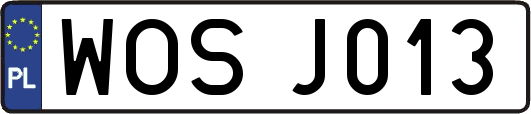 WOSJ013