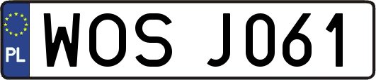 WOSJ061