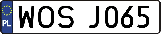 WOSJ065