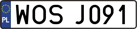 WOSJ091