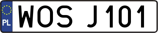 WOSJ101