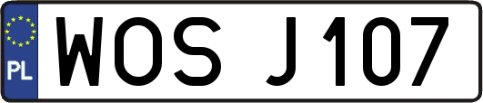 WOSJ107