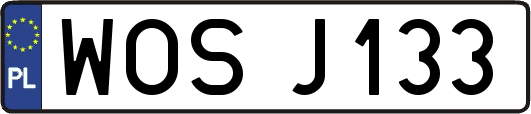 WOSJ133