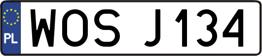 WOSJ134