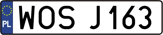 WOSJ163