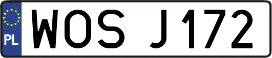 WOSJ172