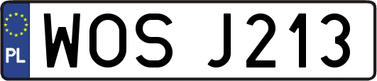 WOSJ213