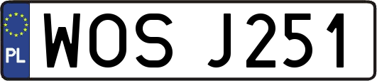 WOSJ251