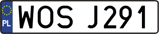 WOSJ291