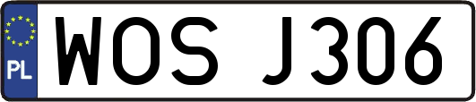 WOSJ306