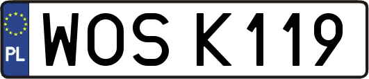 WOSK119