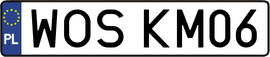 WOSKM06