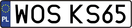 WOSKS65