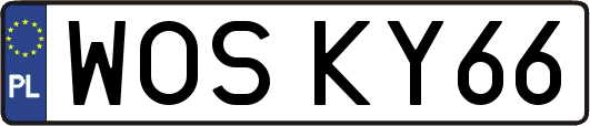 WOSKY66