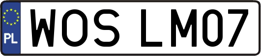 WOSLM07
