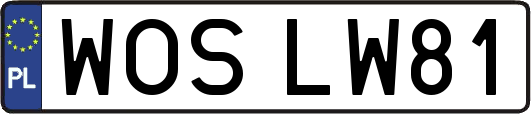 WOSLW81