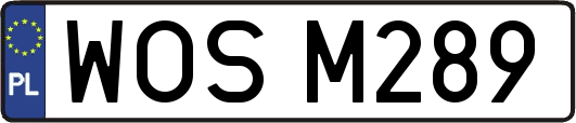 WOSM289