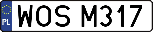 WOSM317