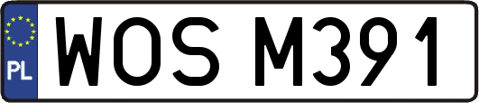 WOSM391