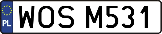 WOSM531