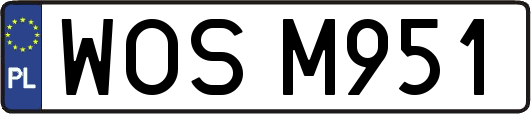 WOSM951