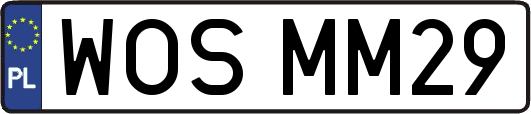 WOSMM29