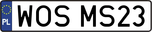 WOSMS23