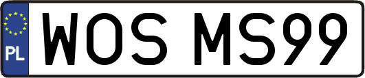 WOSMS99
