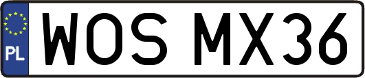 WOSMX36