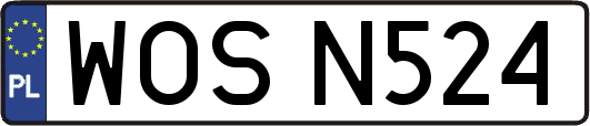 WOSN524
