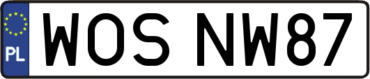 WOSNW87
