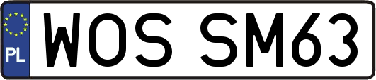 WOSSM63