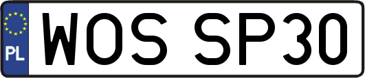 WOSSP30