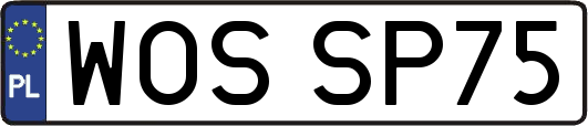 WOSSP75