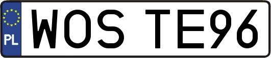 WOSTE96
