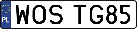 WOSTG85
