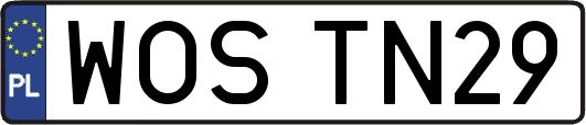 WOSTN29