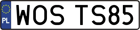 WOSTS85