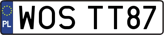 WOSTT87