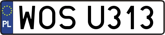 WOSU313