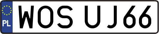 WOSUJ66