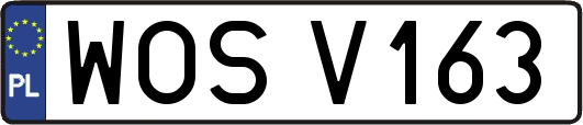WOSV163