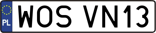 WOSVN13