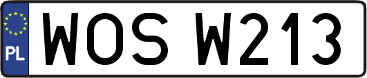WOSW213